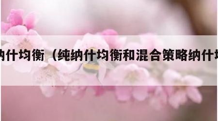 纯纳什均衡（纯纳什均衡和混合策略纳什均衡）