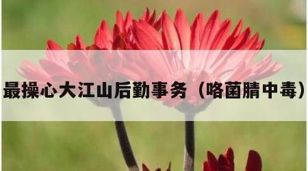 最操心大江山后勤事务（咯菌腈中毒）