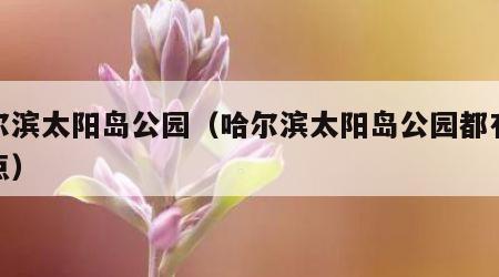 哈尔滨太阳岛公园（哈尔滨太阳岛公园都有啥景点）