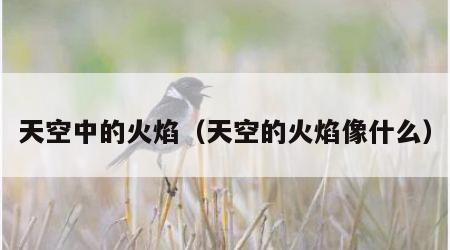 天空中的火焰（天空的火焰像什么）