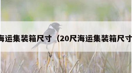 海运集装箱尺寸（20尺海运集装箱尺寸）