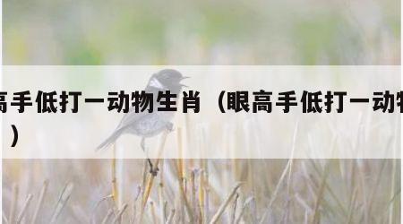 眼高手低打一动物生肖（眼高手低打一动物生肖冫）