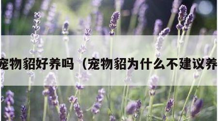 宠物貂好养吗（宠物貂为什么不建议养）