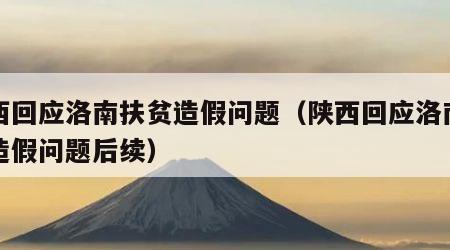 陕西回应洛南扶贫造假问题（陕西回应洛南扶贫造假问题后续）