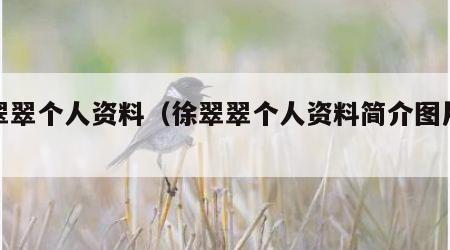 徐翠翠个人资料（徐翠翠个人资料简介图片大全）