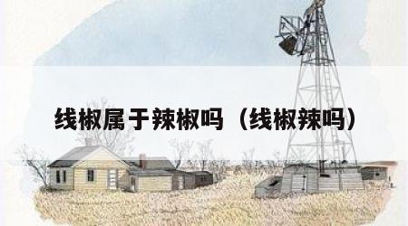 线椒属于辣椒吗（线椒辣吗）