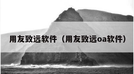 用友致远软件（用友致远oa软件）