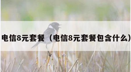 电信8元套餐（电信8元套餐包含什么）