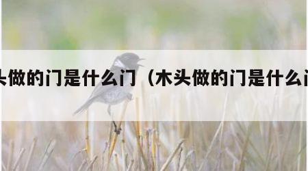 木头做的门是什么门（木头做的门是什么门型）
