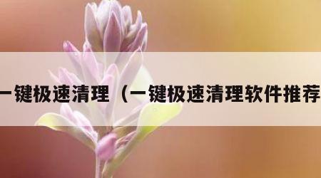 一键极速清理（一键极速清理软件推荐）