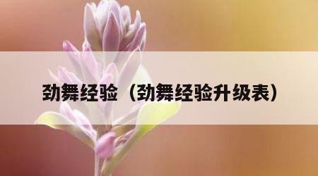 劲舞经验（劲舞经验升级表）