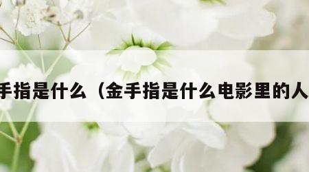 金手指是什么（金手指是什么电影里的人物）