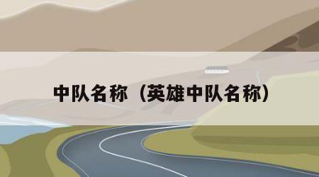 中队名称（英雄中队名称）
