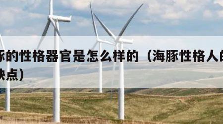 海豚的性格器官是怎么样的（海豚性格人的性格缺点）