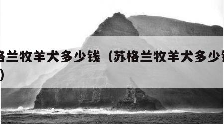 苏格兰牧羊犬多少钱（苏格兰牧羊犬多少钱一只?）