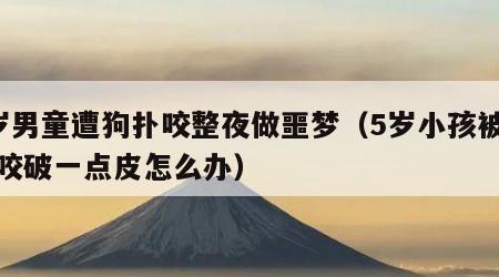 5岁男童遭狗扑咬整夜做噩梦（5岁小孩被小狗咬破一点皮怎么办）