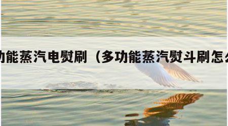 多功能蒸汽电熨刷（多功能蒸汽熨斗刷怎么使用）