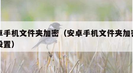 安卓手机文件夹加密（安卓手机文件夹加密怎么设置）