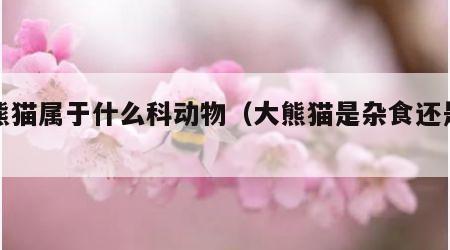 大熊猫属于什么科动物（大熊猫是杂食还是肉食）