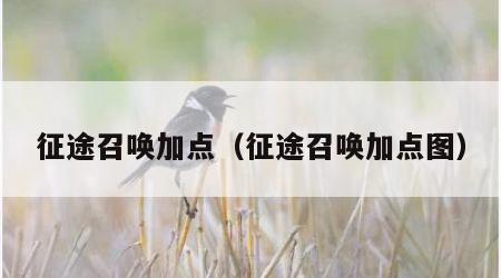 征途召唤加点（征途召唤加点图）