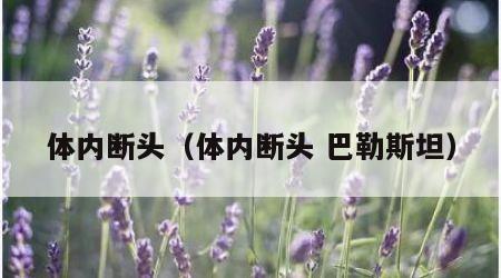 体内断头（体内断头 巴勒斯坦）