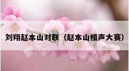 刘翔赵本山对联（赵本山相声大赛）