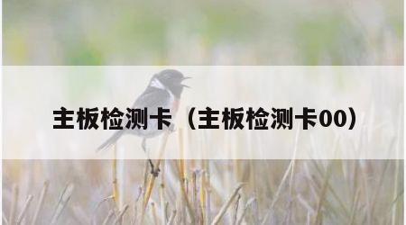 主板检测卡（主板检测卡00）
