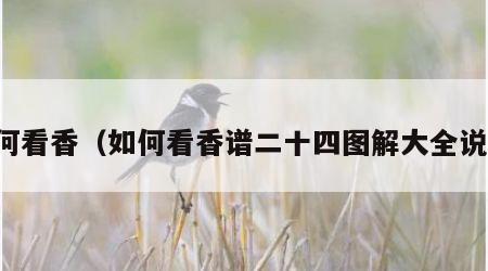 如何看香（如何看香谱二十四图解大全说明）