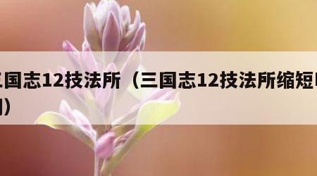 三国志12技法所（三国志12技法所缩短时间）