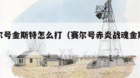 赛尔号金斯特怎么打（赛尔号赤炎战魂金斯特）