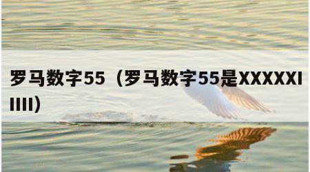 罗马数字55（罗马数字55是XXXXXIIIII）