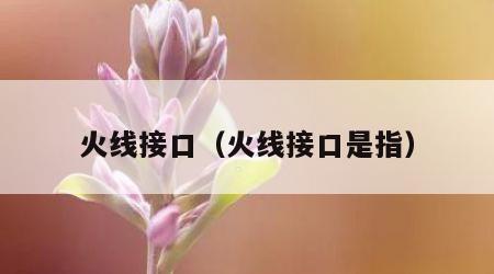 火线接口（火线接口是指）