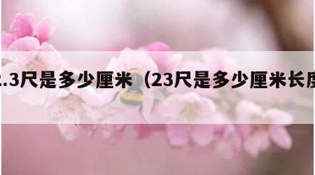 2.3尺是多少厘米（23尺是多少厘米长度）