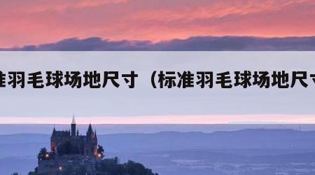 标准羽毛球场地尺寸（标准羽毛球场地尺寸单打）