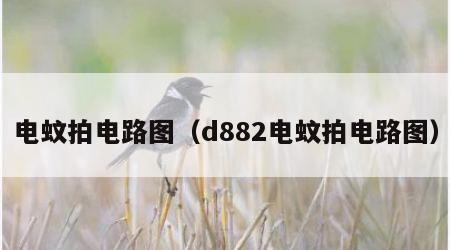 电蚊拍电路图（d882电蚊拍电路图）