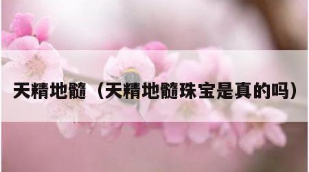 天精地髓（天精地髓珠宝是真的吗）
