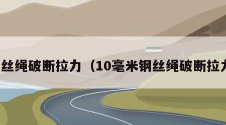 钢丝绳破断拉力（10毫米钢丝绳破断拉力）