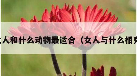 女人和什么动物最适合（女人与什么相克）