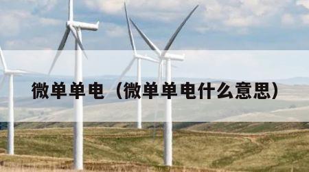 微单单电（微单单电什么意思）