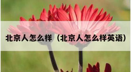 北京人怎么样（北京人怎么样英语）