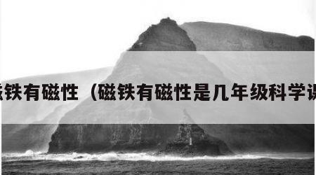 磁铁有磁性（磁铁有磁性是几年级科学课）