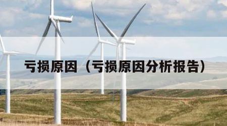 亏损原因（亏损原因分析报告）