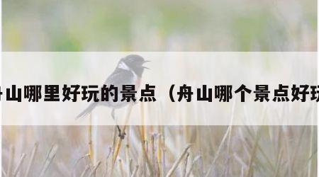 舟山哪里好玩的景点（舟山哪个景点好玩）