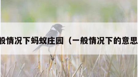 一般情况下蚂蚁庄园（一般情况下的意思是）