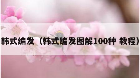 韩式编发（韩式编发图解100种 教程）