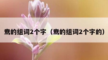 鸯的组词2个字（鸯的组词2个字的）
