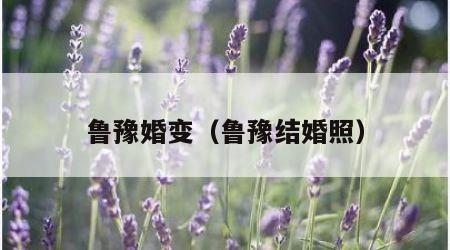 鲁豫婚变（鲁豫结婚照）