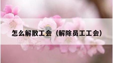 怎么解散工会（解除员工工会）
