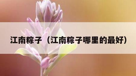 江南粽子（江南粽子哪里的最好）