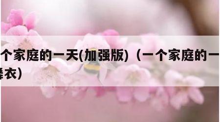 一个家庭的一天(加强版)（一个家庭的一天 舞衣）